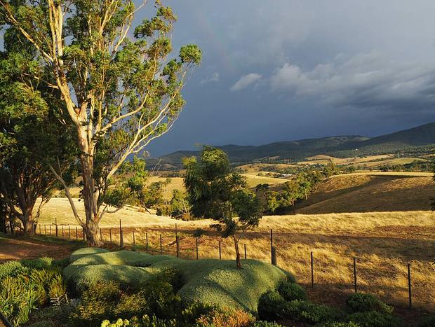 Photo 4 for On a Peaceful Vineyard in the Yarra Valley (A1)