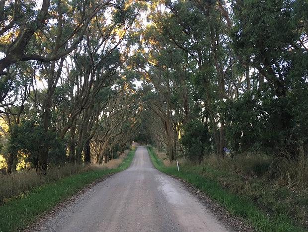 Photo 10 for Waratah Hills Homestead