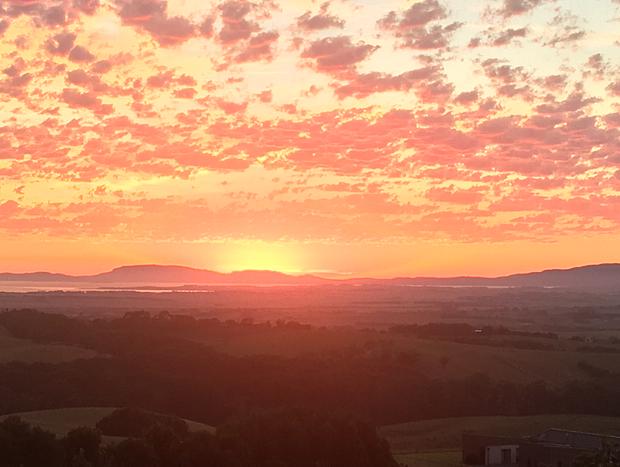 Photo 9 for Waratah Hills Homestead