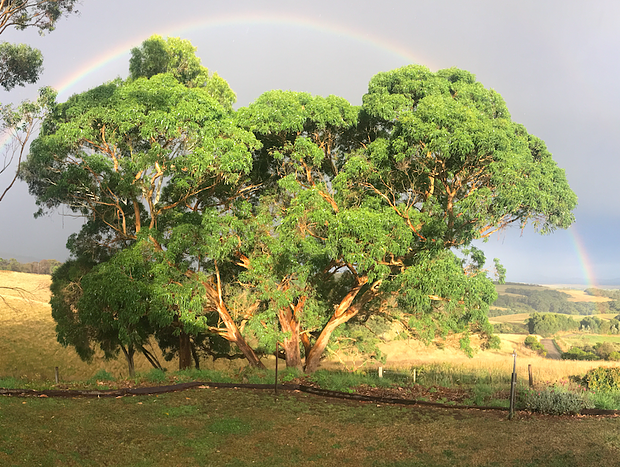 Photo 8 for Waratah Hills Homestead