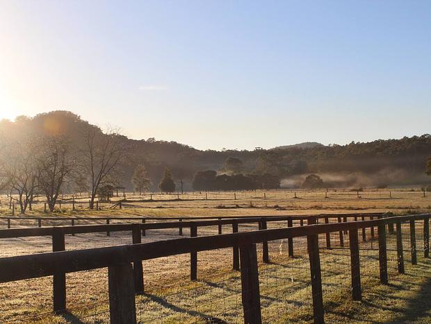 Photo 19 for Mollies Farm - Farm Stay in the Dooralong Valley