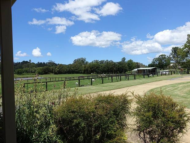 Photo 21 for Mollies Farm - Farm Stay in the Dooralong Valley