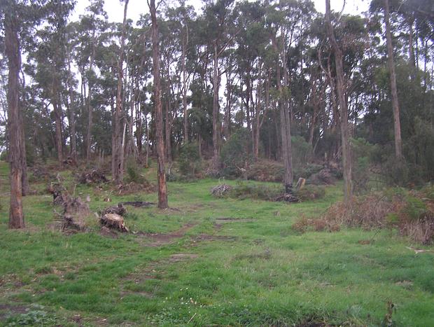 Photo 16 for Tranquil Farm Stay