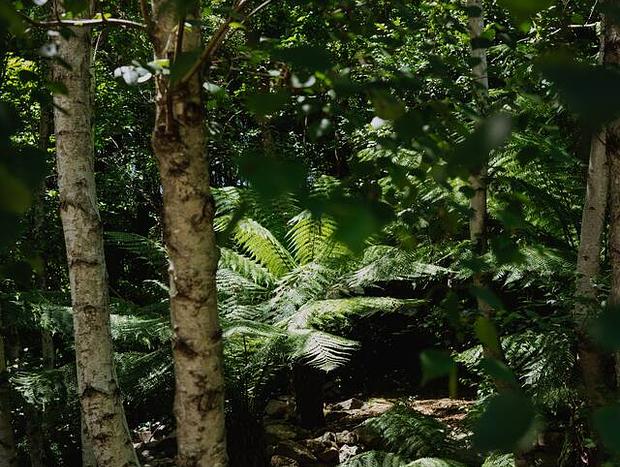 Photo 30 for Lothlorien - A Bespoke Romantic Luxury Retreat