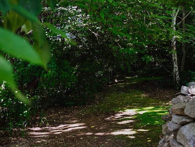 Photo 32 for Lothlorien - A Bespoke Romantic Luxury Retreat