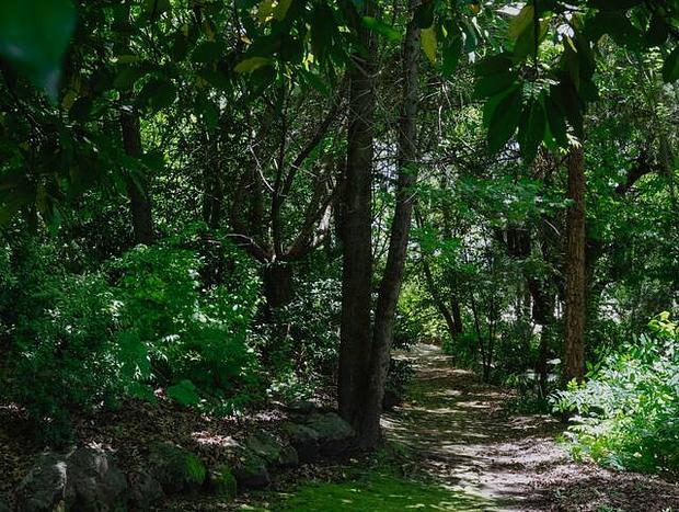 Photo 33 for Lothlorien - A Bespoke Romantic Luxury Retreat