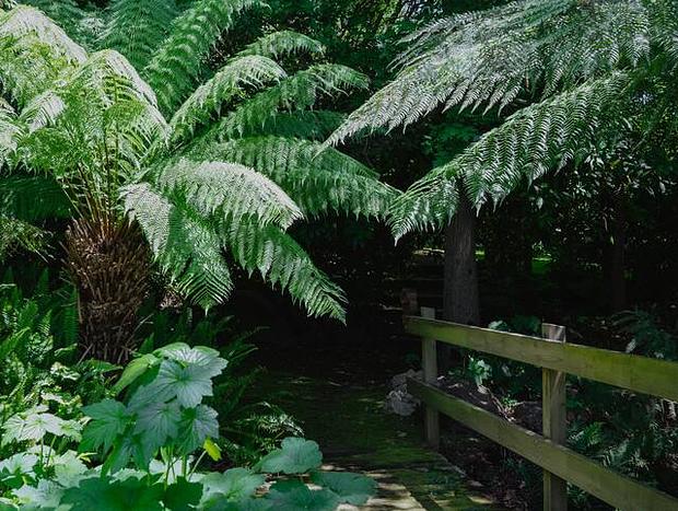 Photo 36 for Lothlorien - A Bespoke Romantic Luxury Retreat