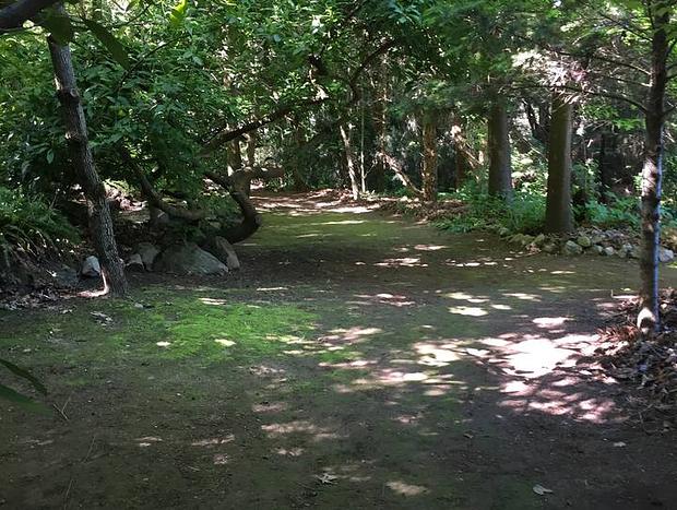 Photo 26 for Lothlorien - A Bespoke Romantic Luxury Retreat