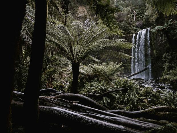 Photo 15 for Mesmerised in the Otway’s