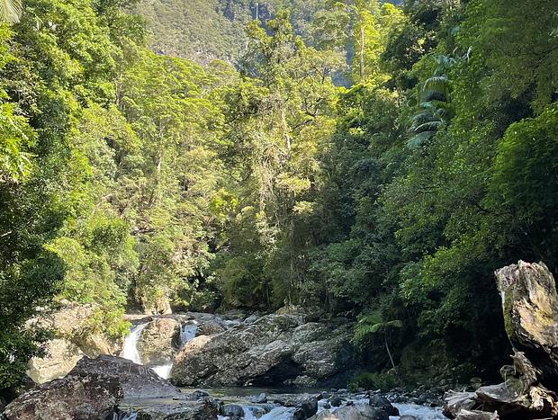 Photo 13 for Hinterhouse - On the Never Never River Near Bellingen
