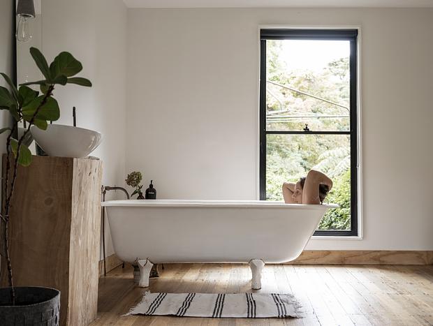 Photo 4 for Meeting Mr Oak