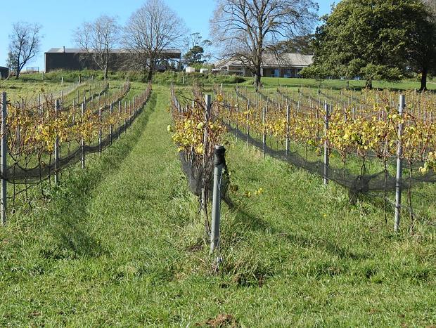 Photo 5 for Vineyard Stay - Designer Barn