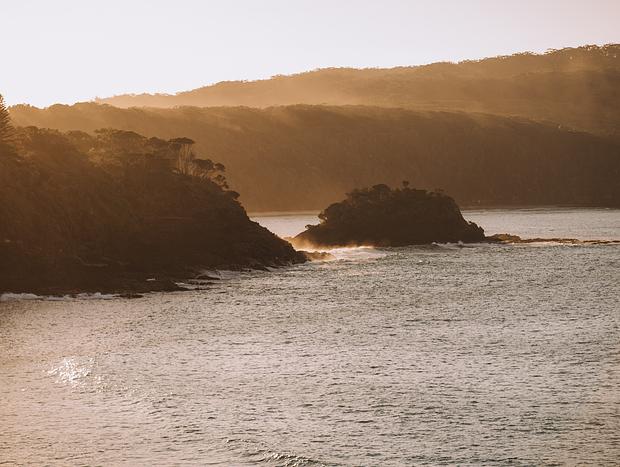 Photo 5 for Paddle with the dolphins