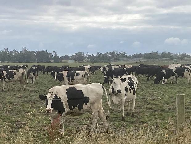 Photo 18 for Burra Views