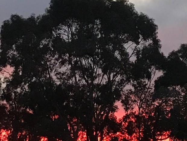 Photo 35 for Burra Views