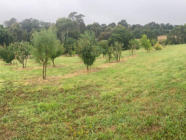 Photo 17 for Burra Views