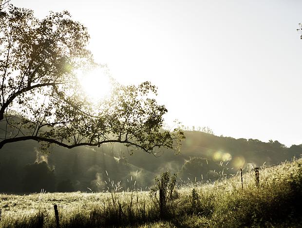 Photo 5 for Charming Farm House at Fernleigh