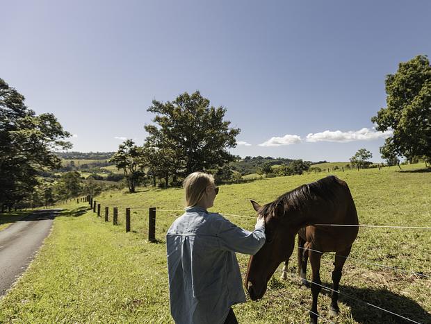 Photo 9 for Charming Farm House at Fernleigh
