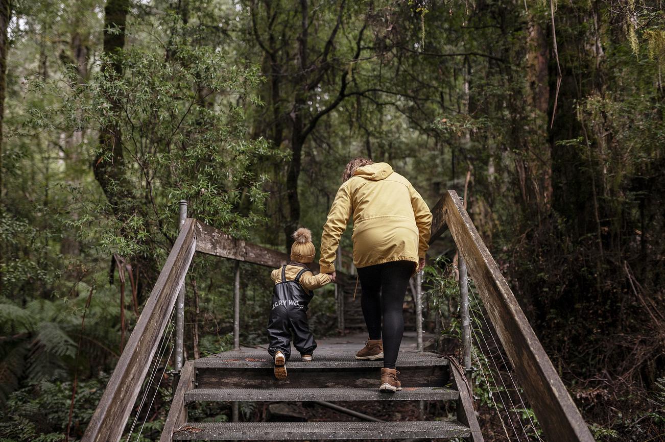 Mr Oak Warburton House for Rent in Warburton, Yarra Valley, VIC, AU