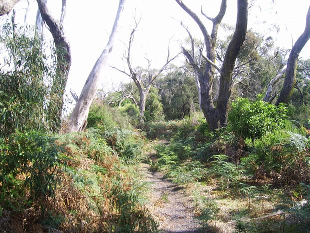 Photo 26 for Burra Views