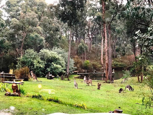 Photo 25 for Countryside Retreat - Intimate Studio Daylesford