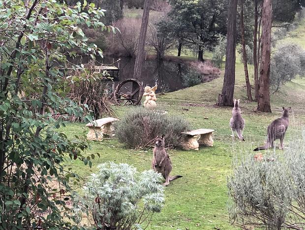 Photo 18 for Countryside Retreat - Intimate Studio Daylesford