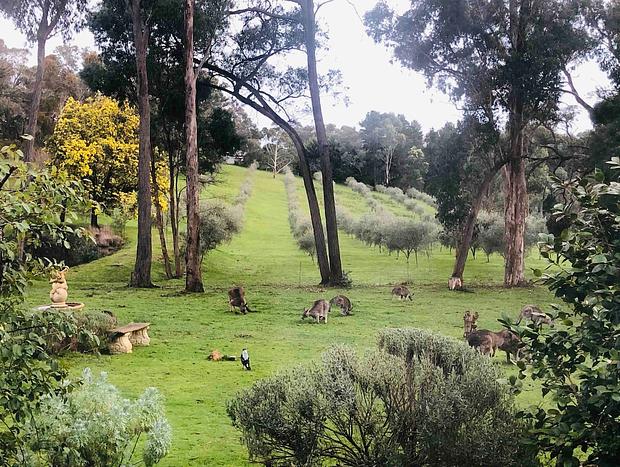 Photo 21 for Countryside Retreat - Intimate Studio Daylesford