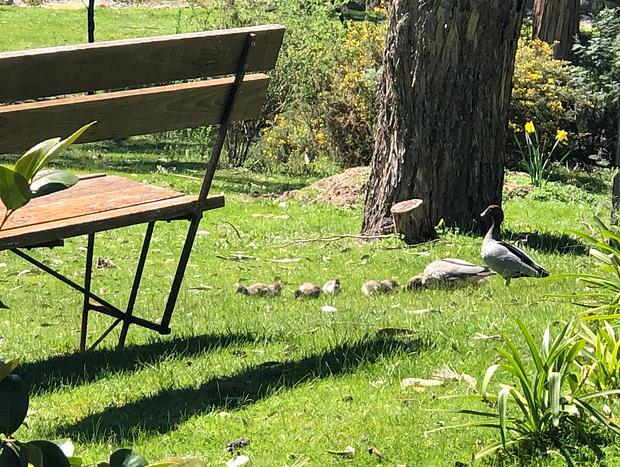 Photo 22 for Countryside Retreat - Intimate Studio Daylesford