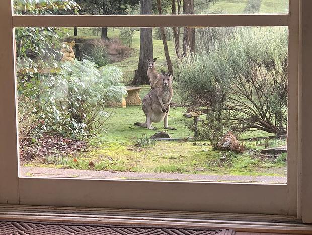 Photo 10 for Countryside Retreat - Intimate Studio Daylesford