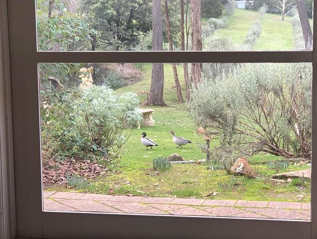 Photo 11 for Countryside Retreat - Intimate Studio Daylesford