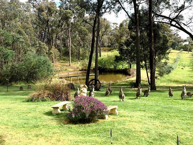 Photo 27 for Countryside Retreat - Intimate Studio Daylesford