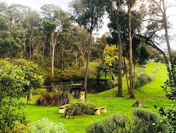 Photo 9 for Countryside Retreat - Intimate Studio Daylesford