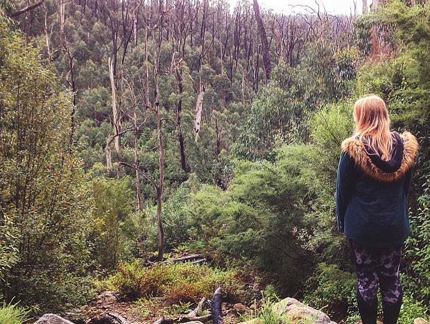 Kinglake National Park