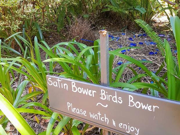 Photo 21 for Kiwarrak Country Retreat - The Bower