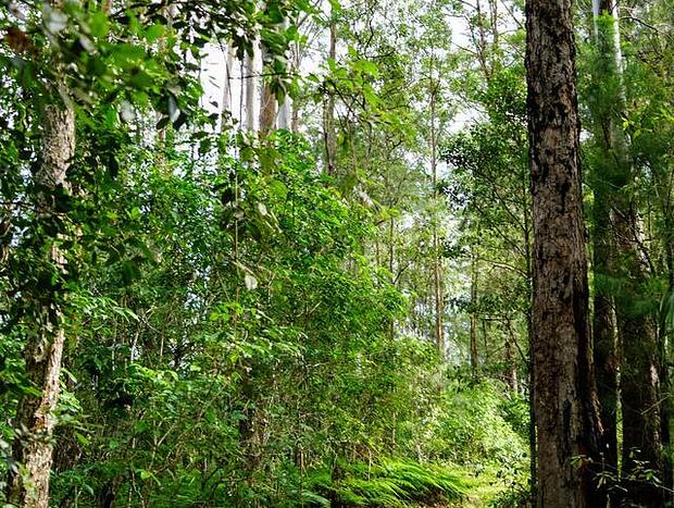 Photo 25 for Kiwarrak Country Retreat - The Bower