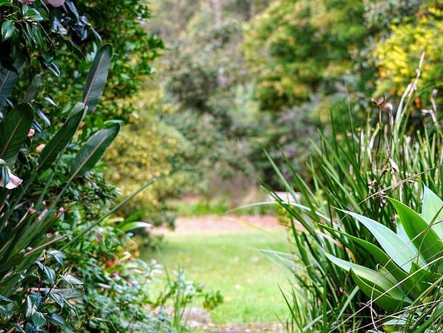 Photo 19 for Kiwarrak Country Retreat - The Bower