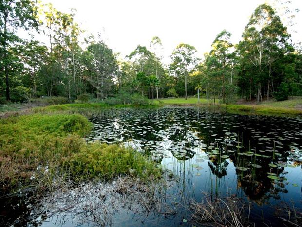 Photo 18 for Kiwarrak Country Retreat - The Bower