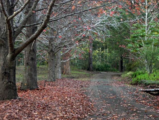 Photo 28 for Kiwarrak Country Retreat - The Bower