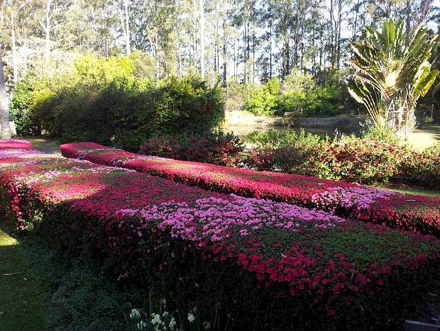 Photo 29 for Kiwarrak Country Retreat - The Bower