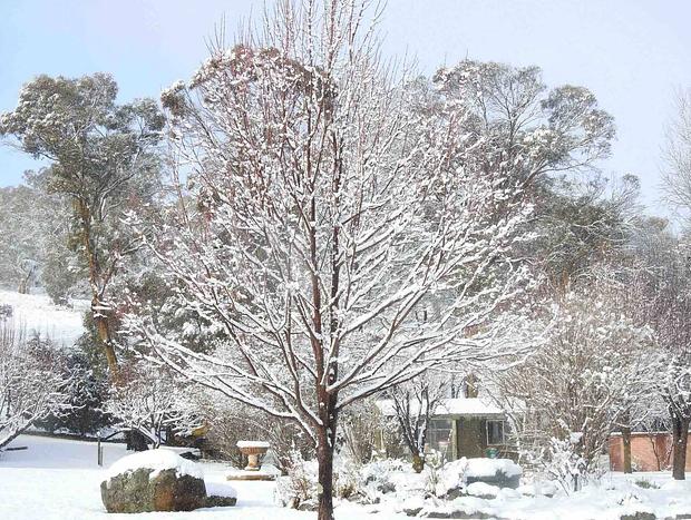 Photo 18 for The Outpost Cottage in Snowy Mountains