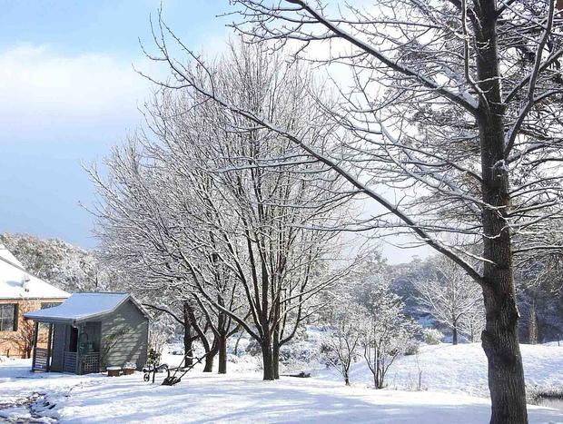 Photo 13 for The Outpost Cottage in Snowy Mountains