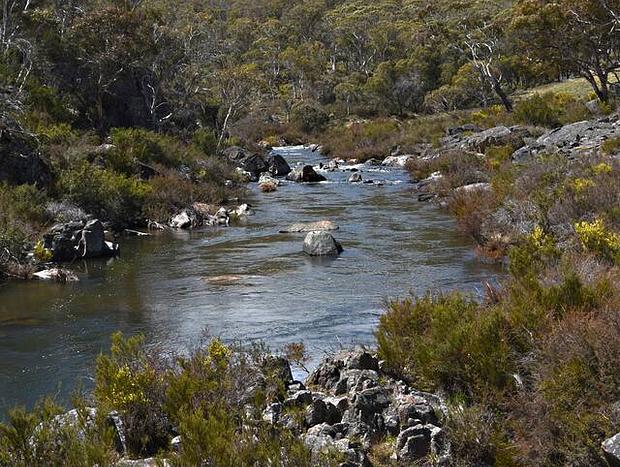 Photo 22 for The Outpost Cottage in Snowy Mountains