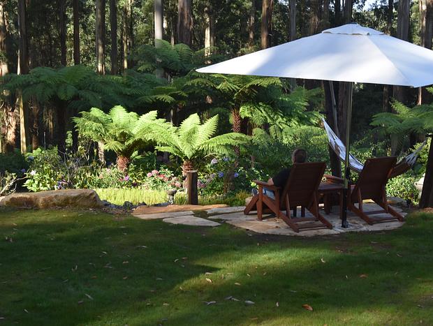 Photo 12 for Garden Cottage at Fern Falls Cottages Mount Dandenong