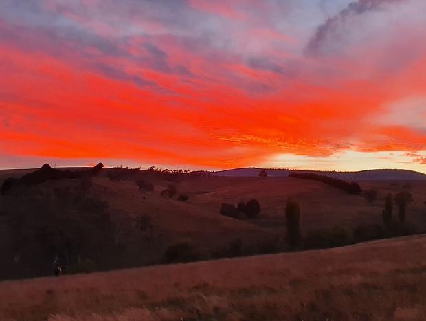 Photo 14 for Cottage in the Victorian High Country