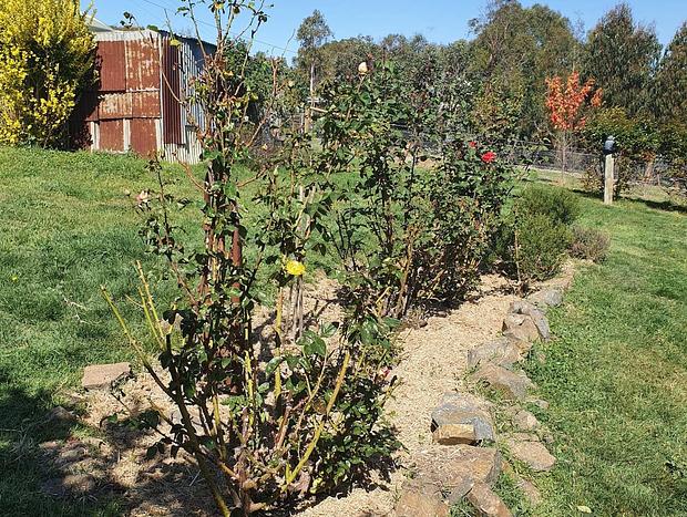 Photo 13 for Cottage in the Victorian High Country
