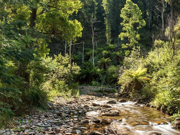 Ovens River