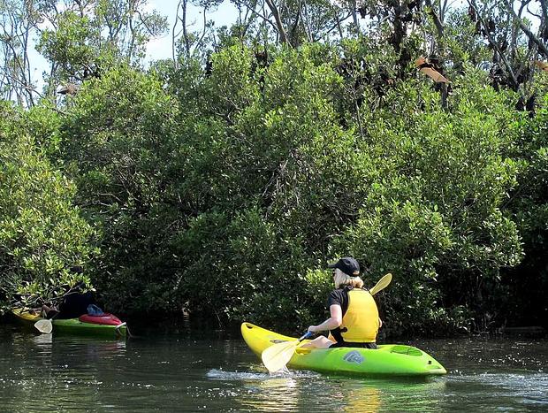 Hastings River