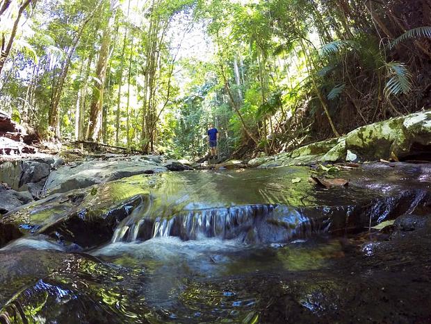 Photo 2 for Yarriabini National Park
