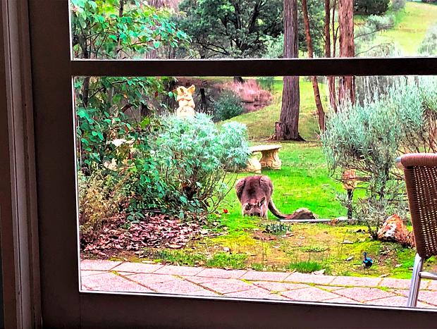 Photo 34 for Countryside Retreat - Intimate Studio Daylesford