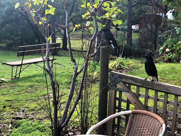 Photo 23 for Countryside Retreat - Intimate Studio Daylesford